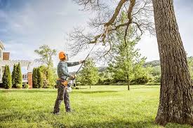 Atlantic Beach, FL Tree Removal and Landscaping Services Company